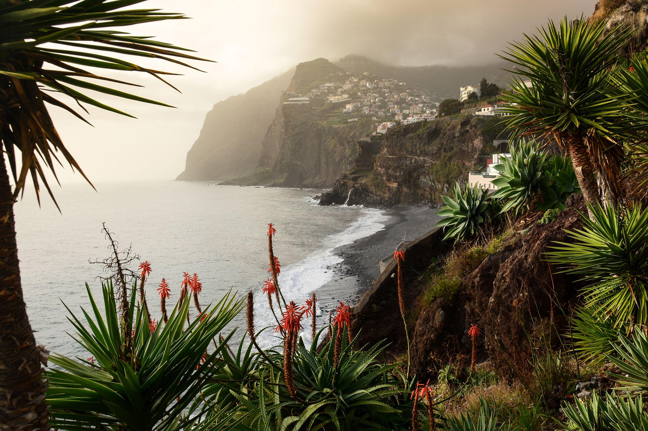 Madeira (3)