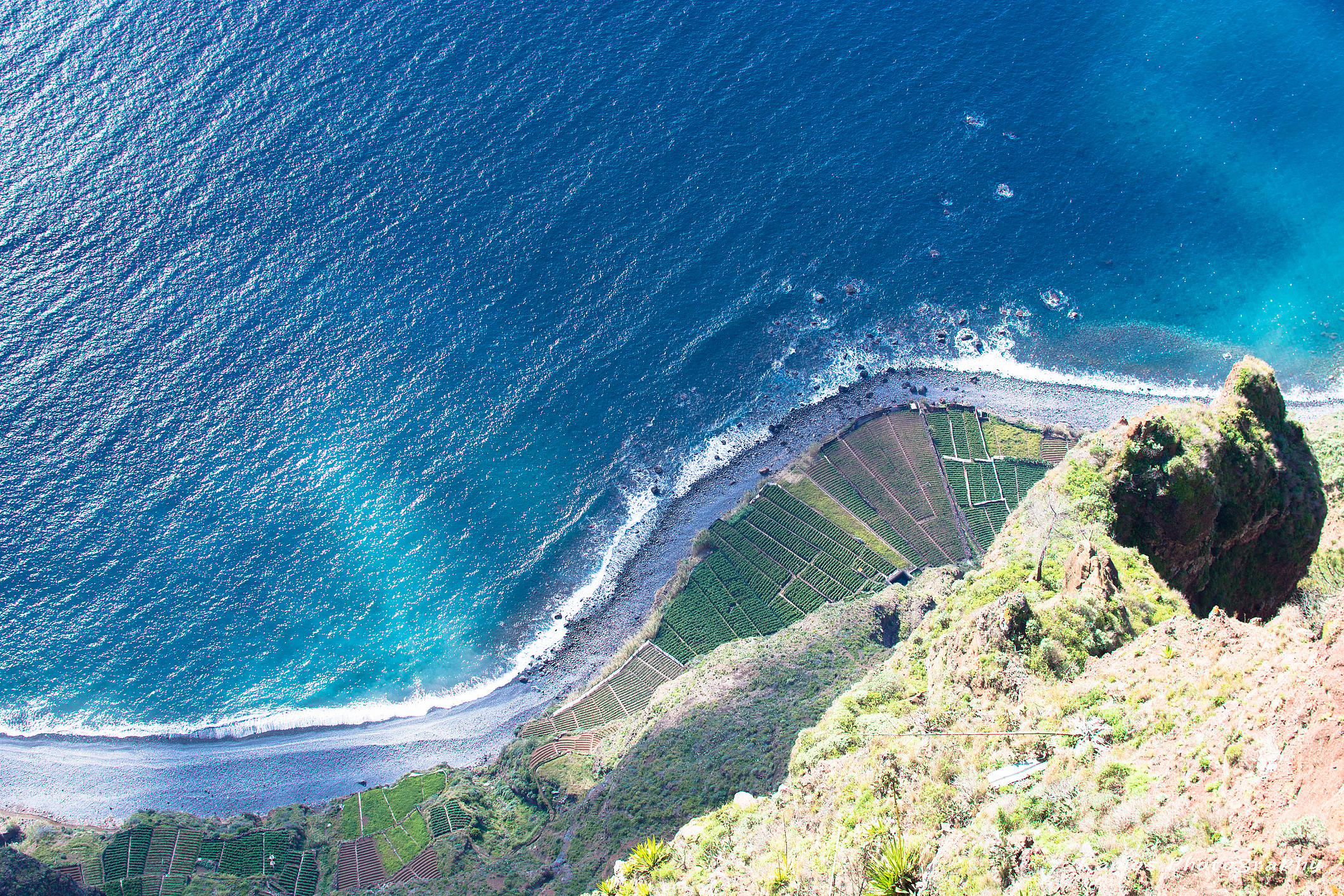 Madeira (4)