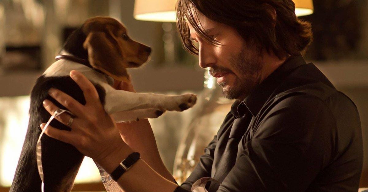 John Wick Dog