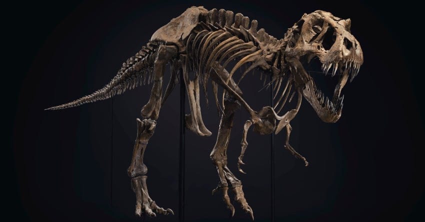 Stan T-Rex Promo