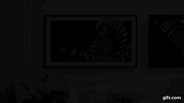 The Frame display