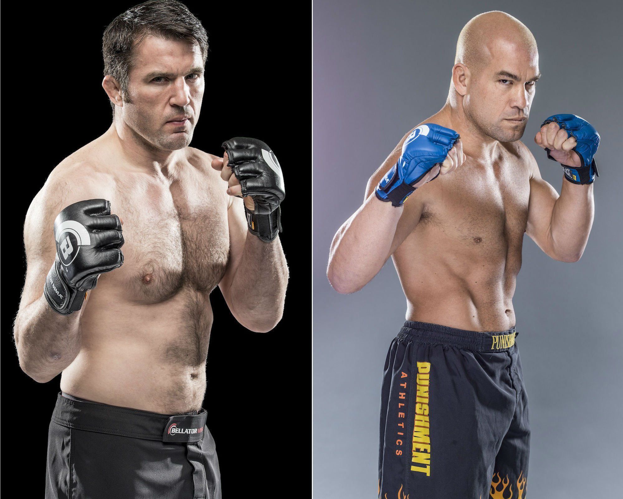 bellator.jpg