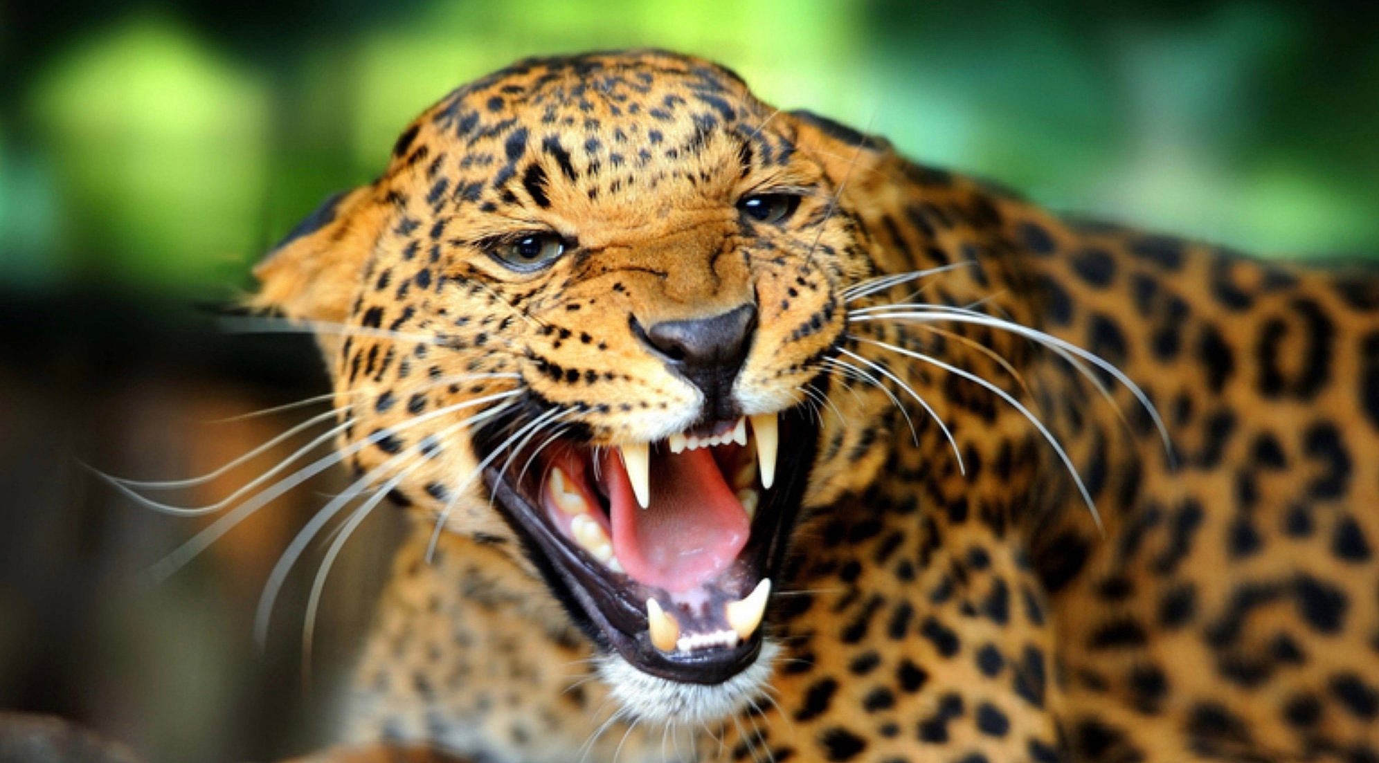 AD45D84E-0E34-48A3-A809-72866533CBEB