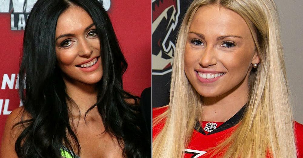 facebook-Linked_Image___hockey wags