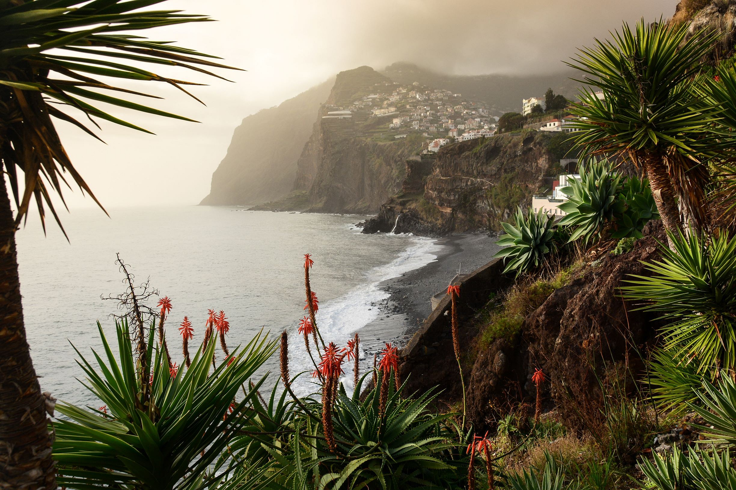 Madeira  (3)
