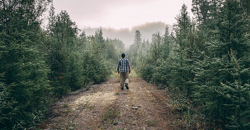 Man against nature