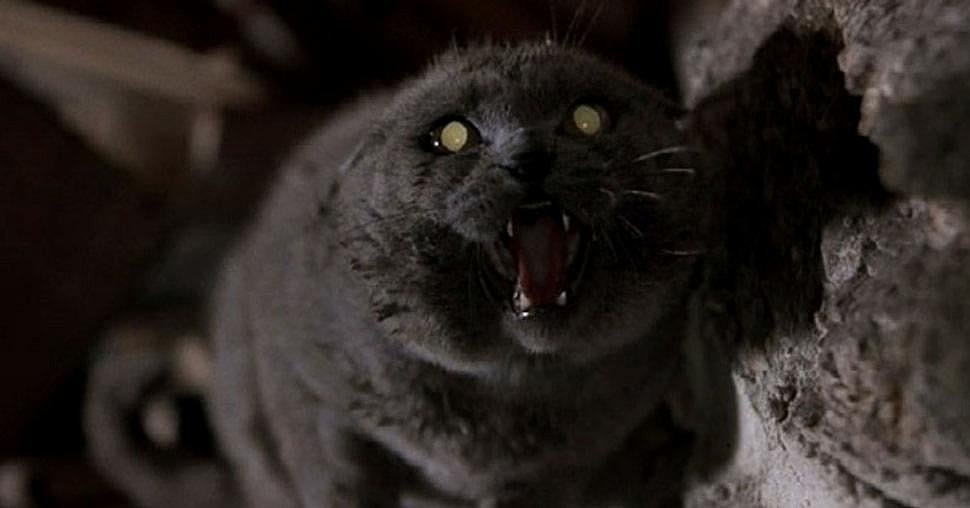 PetSematary