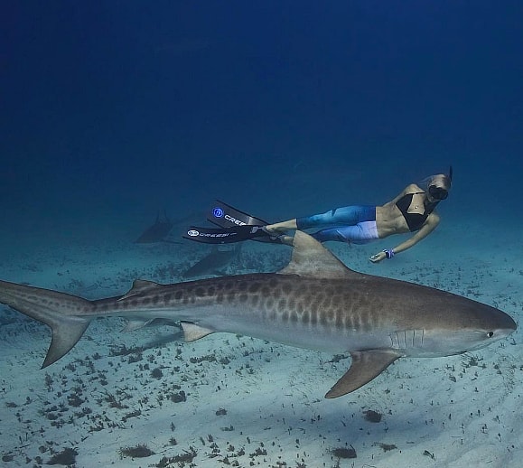 Screen Shot 2016-11-02 at 3.00.13 PM