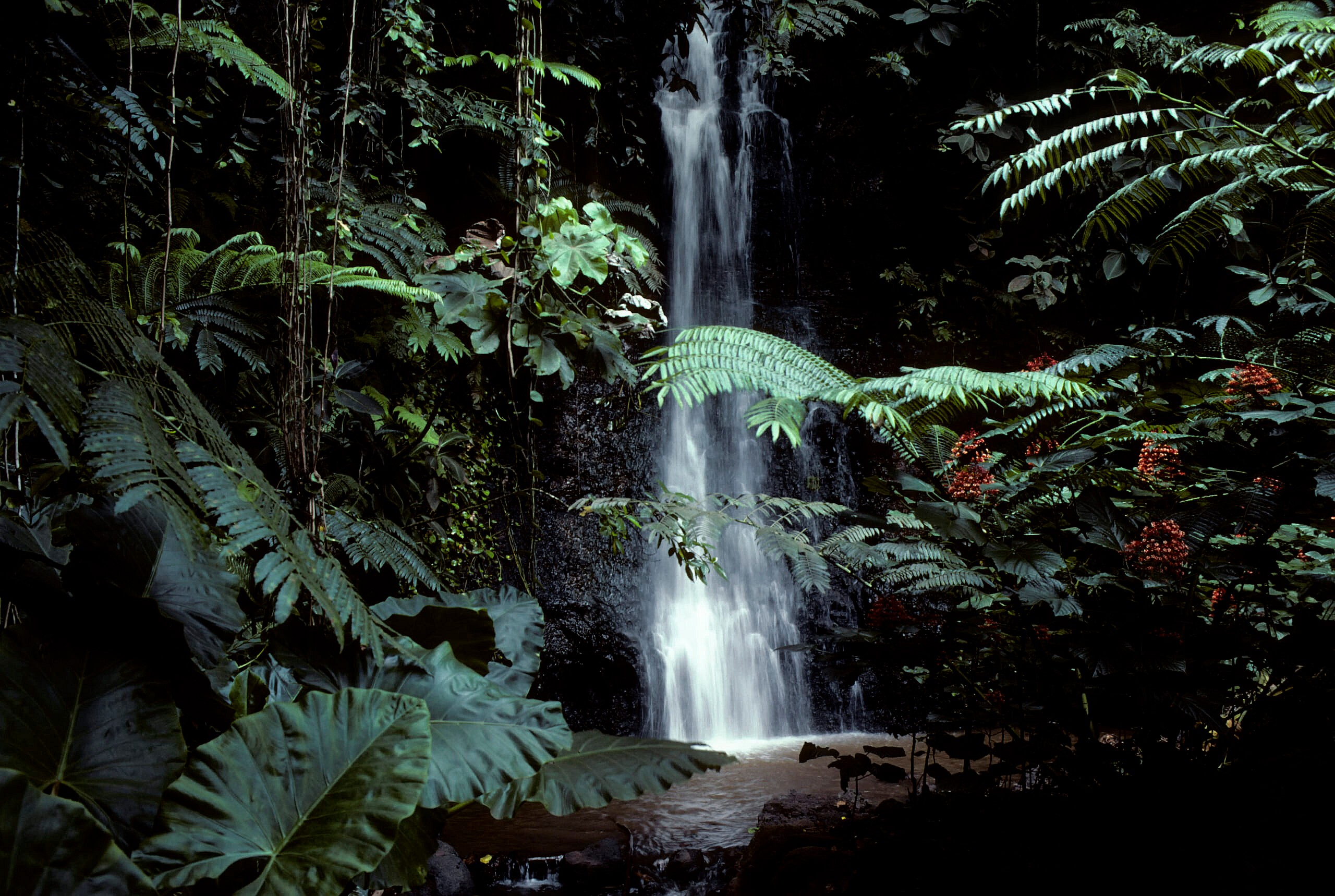 Tahiti Waterfall