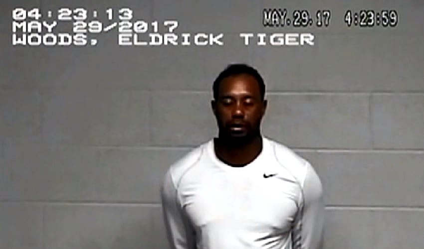 Tiger Woods booking