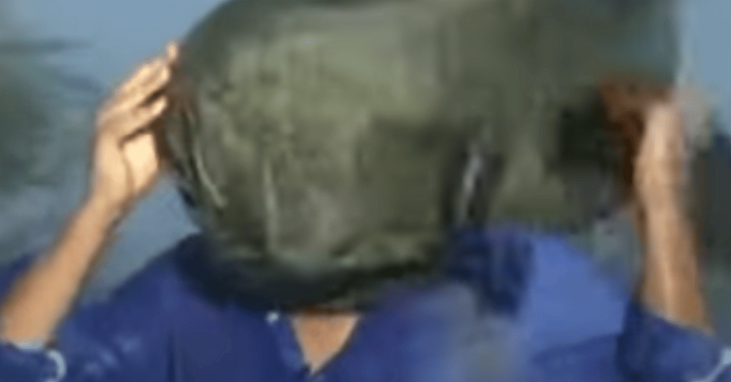 Weather Reporters Owned Irma