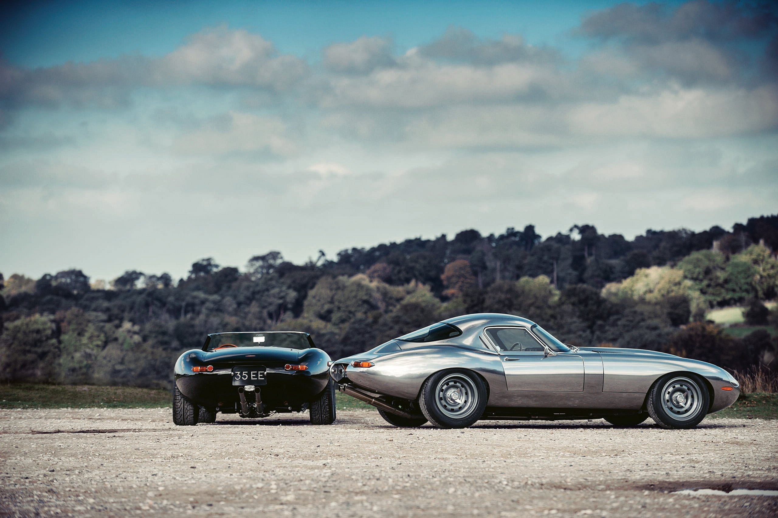 0816-MX-FT_Jaguar.03.jpg
