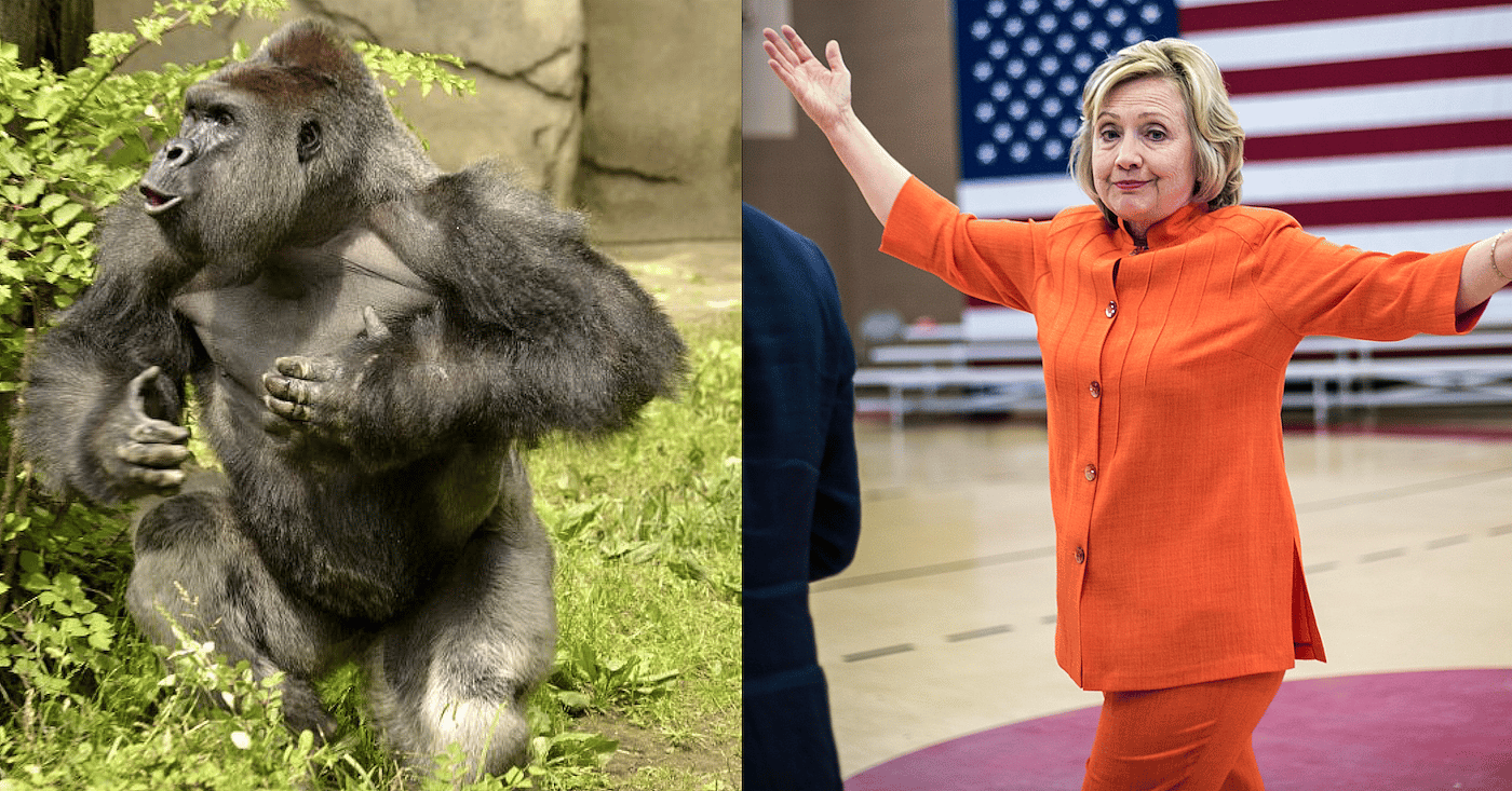 hilary-clinton-harambe-main.png
