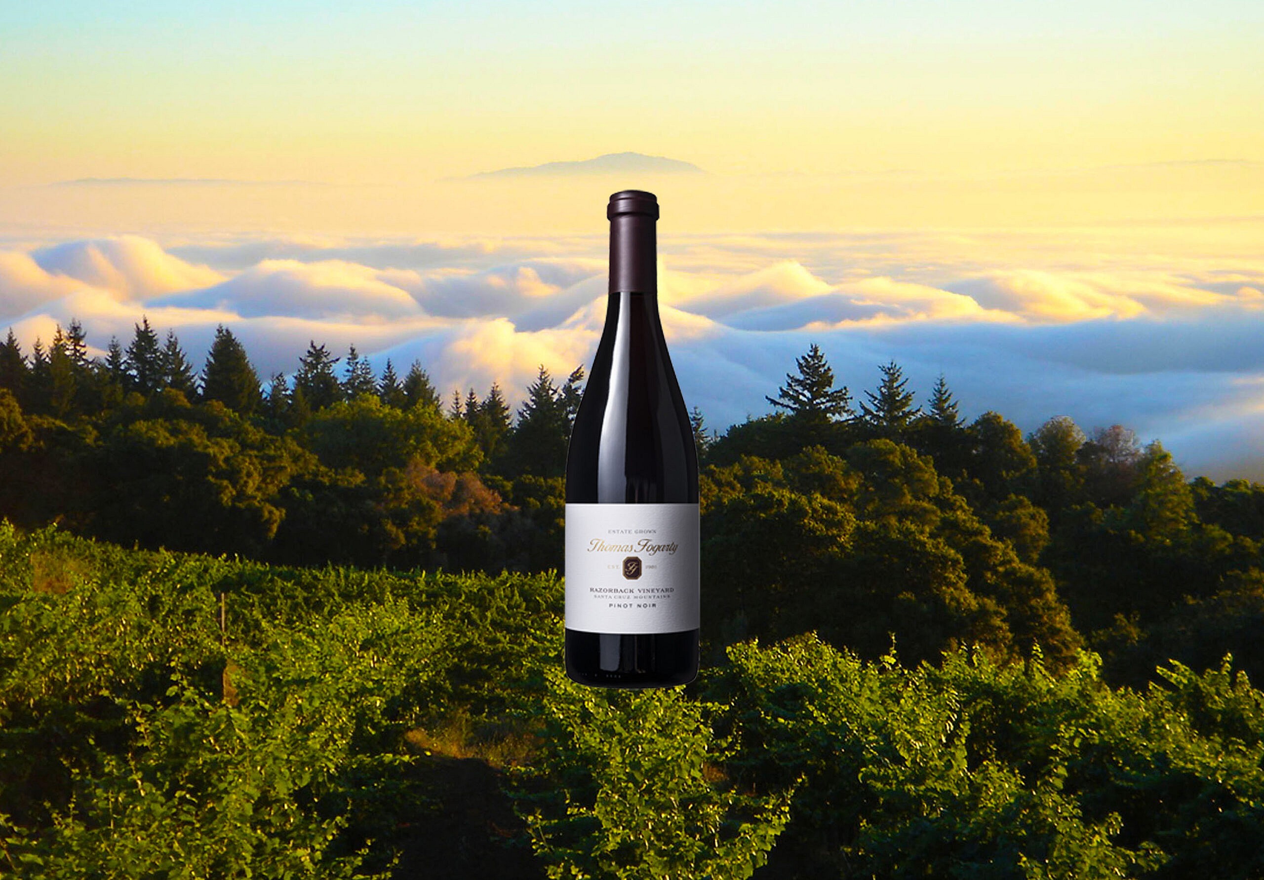 Red wine from the Santa cruz mountains.