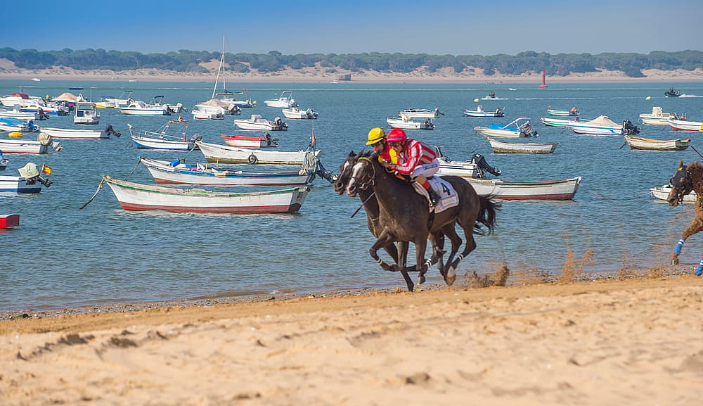 spanish-beach-horse-race-2