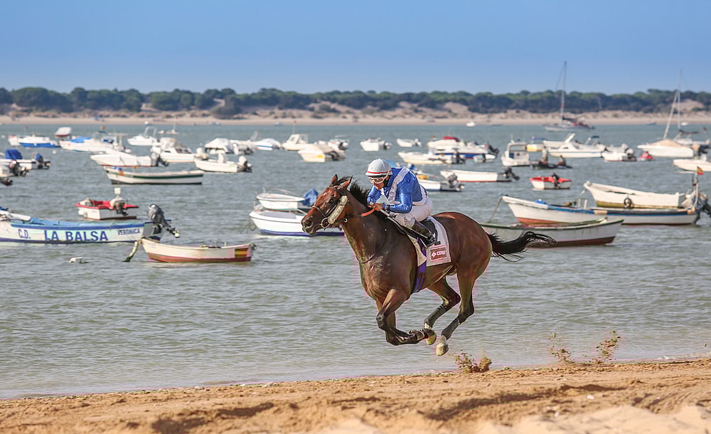 spanish-beach-horse-race-7