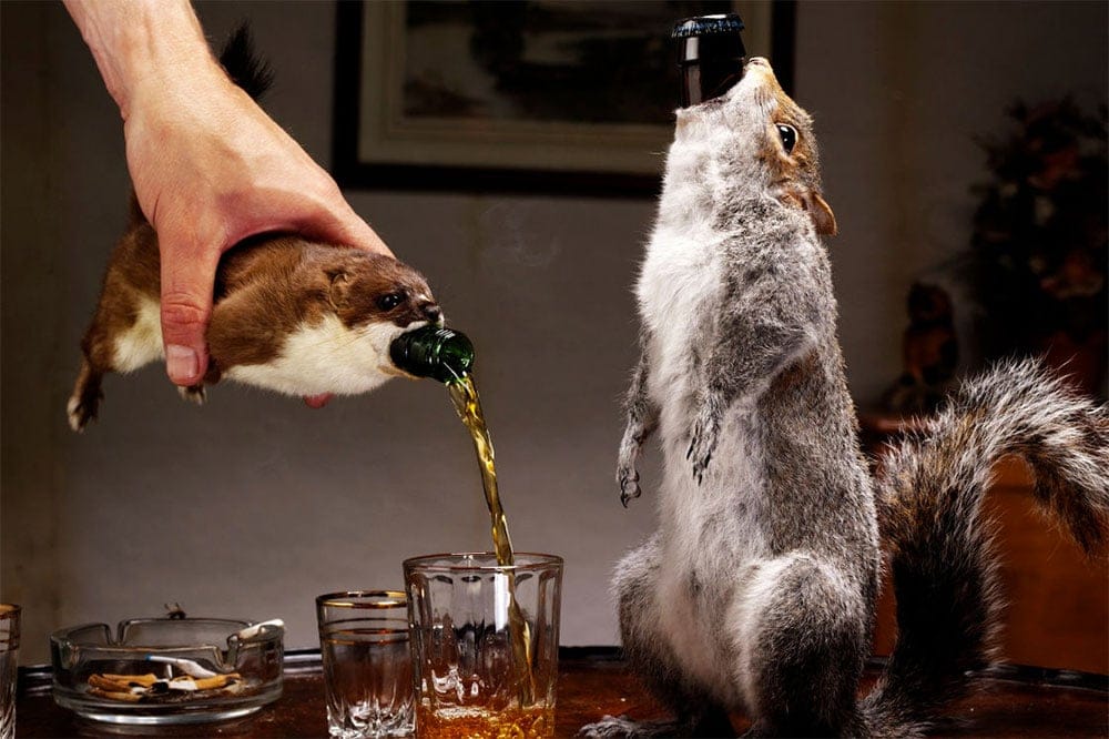 brewdog-end-of-history.jpg