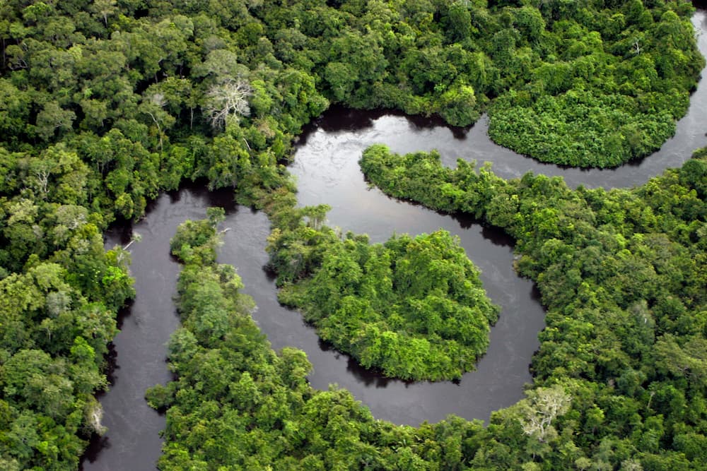 amazon-river-brazil