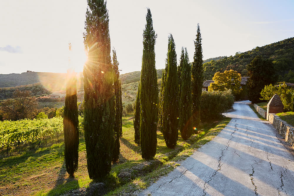 duvine-tuscany