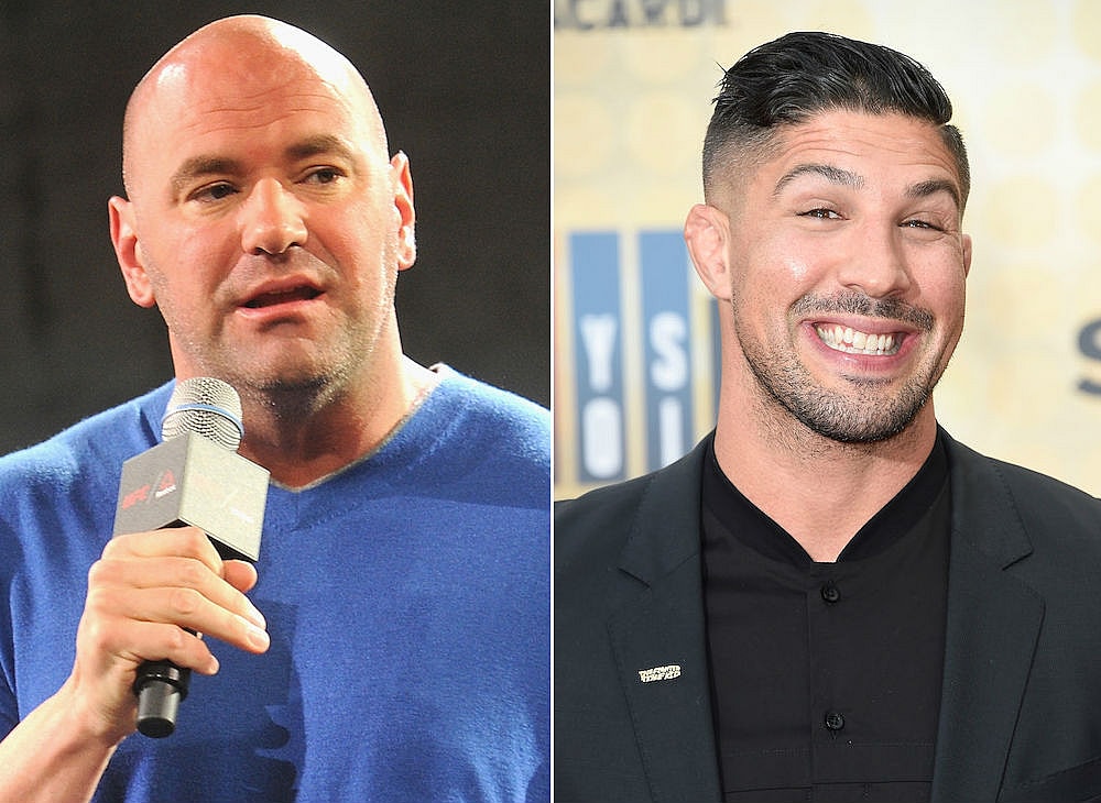 white schaub