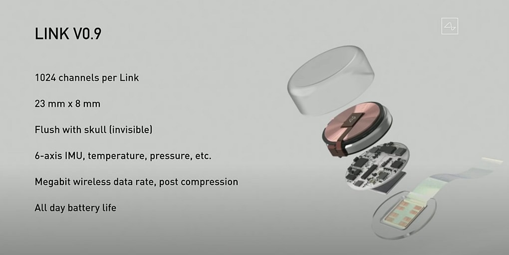 neuralink-cross-section