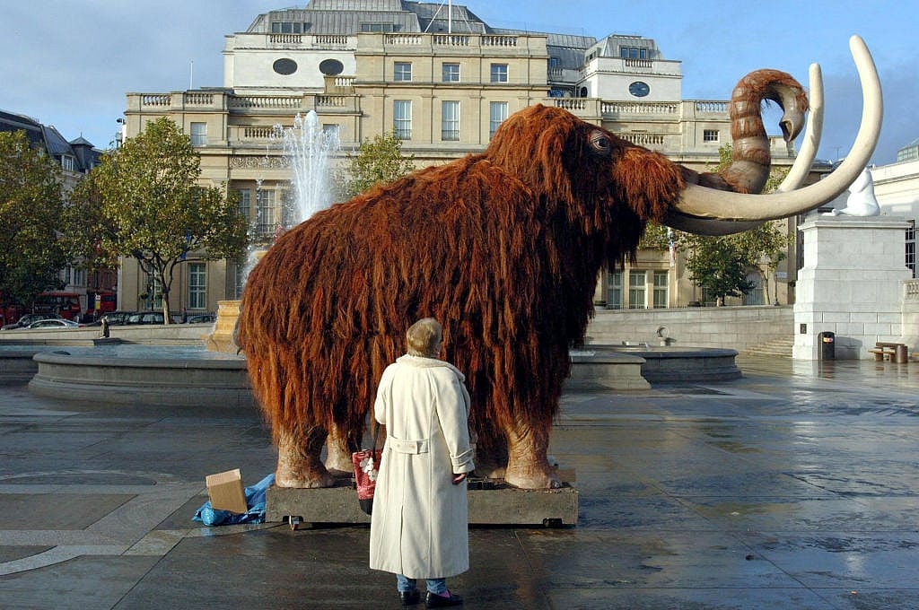 woolly-mammoth-full-size-main-GettyImages-832586998