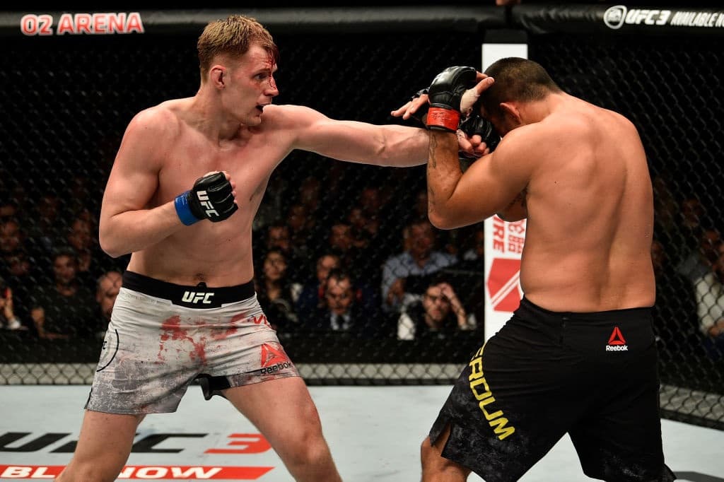 Volkov vs. Werdum UFC London
