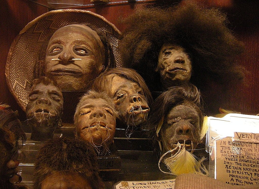 1024px-Seattle_-_Curiosity_Shop_-_shrunken_heads_02A Shrunken Heads