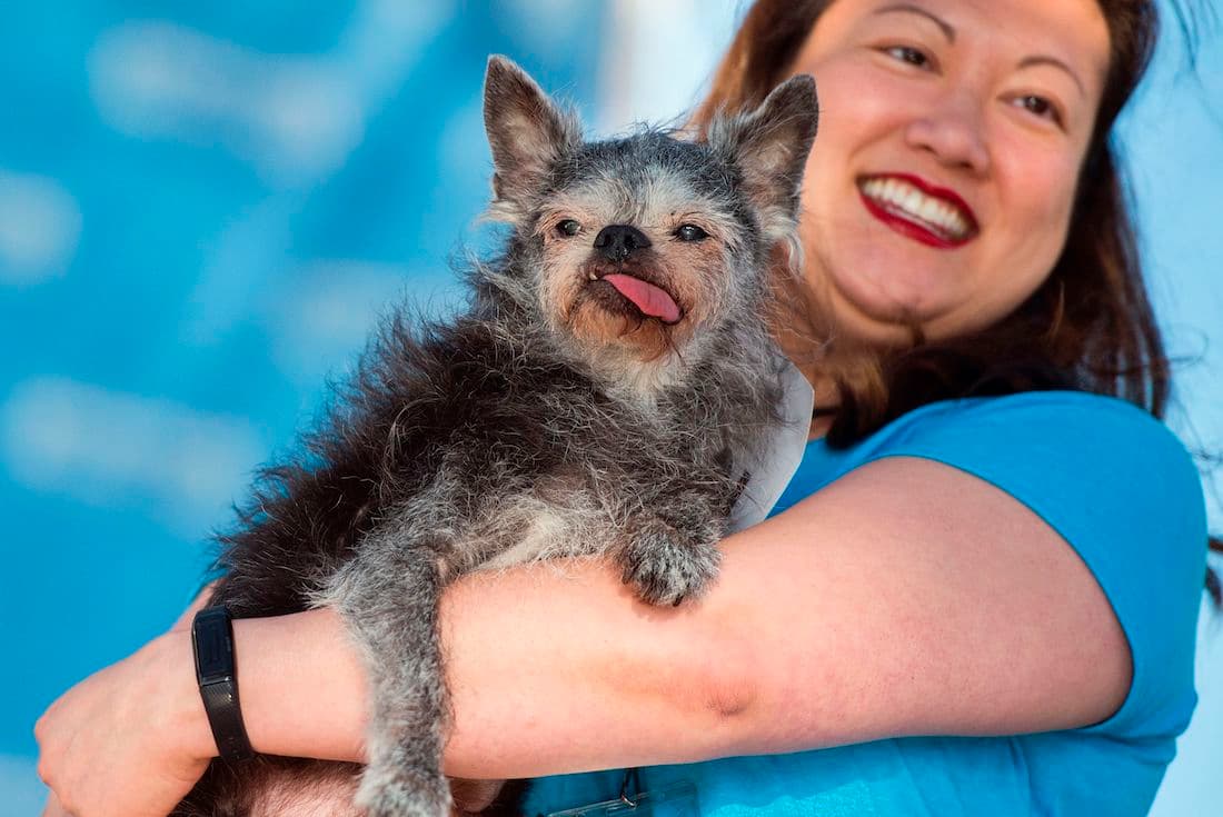 ugly-dogs-5