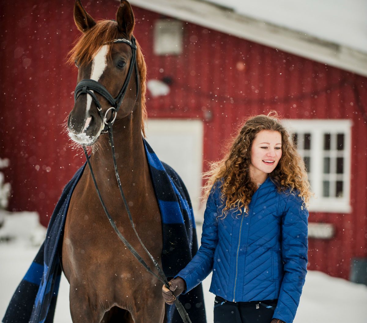 Artikkel_2_equilife.jpg