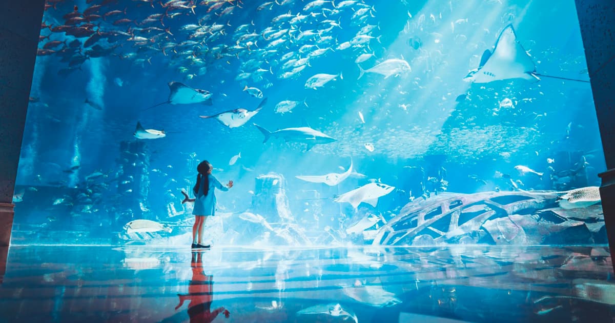 Marine life in the Ambassador Lagoon at the Lost Chambers Aquarium at Atlantis, The Palm. in Dubai.