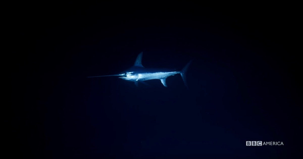 blue-planet-deep-1