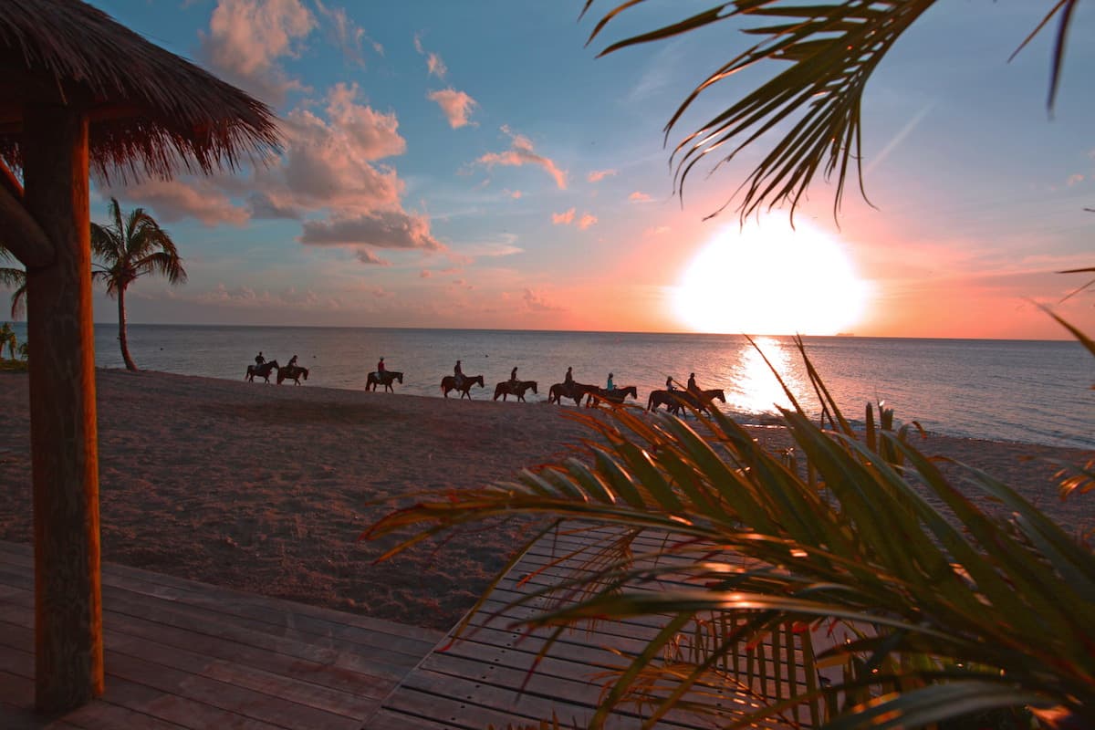 Paradise Beach Nevis horseback riding.jpg