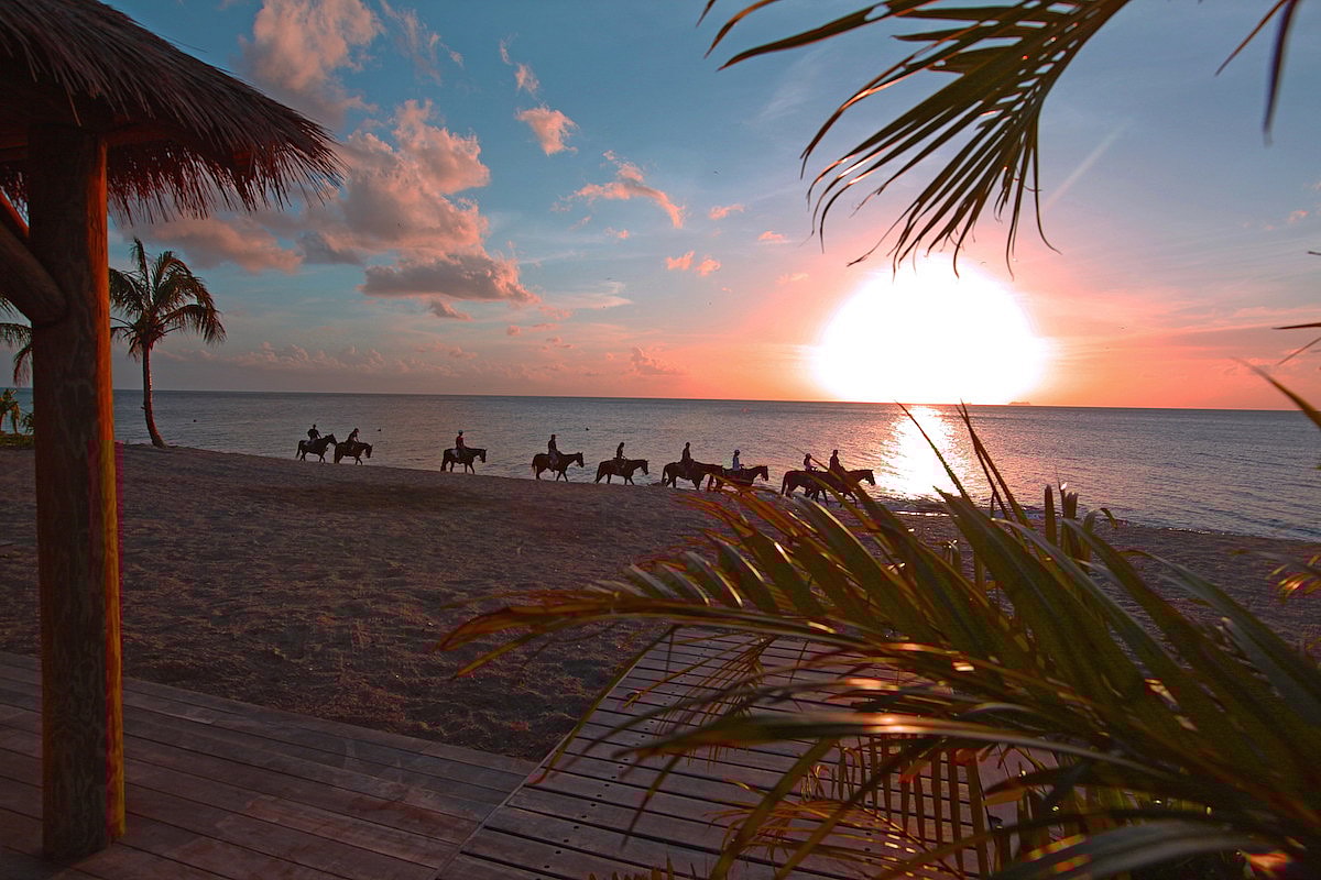 Paradise Beach Nevis horseback riding.jpg