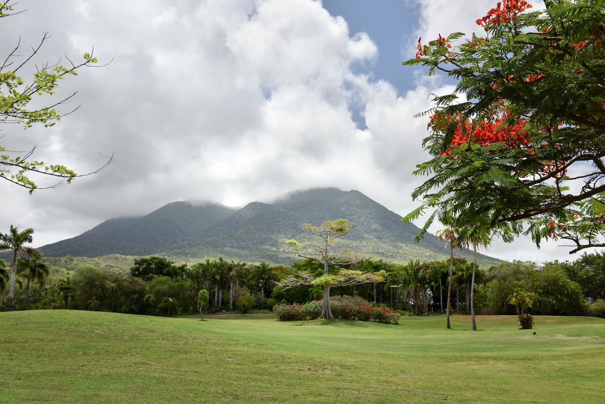 ParadiseBeachNevisMountainViewIslandFlora.jpg