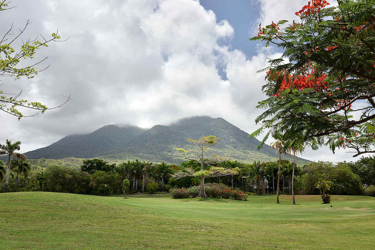 ParadiseBeachNevisMountainViewIslandFlora.jpg