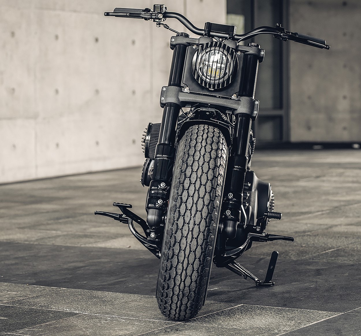 Harley-Davidson Mighty Guerilla  (4)