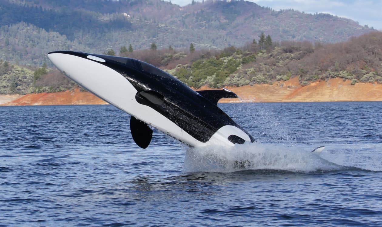 Seabreacher