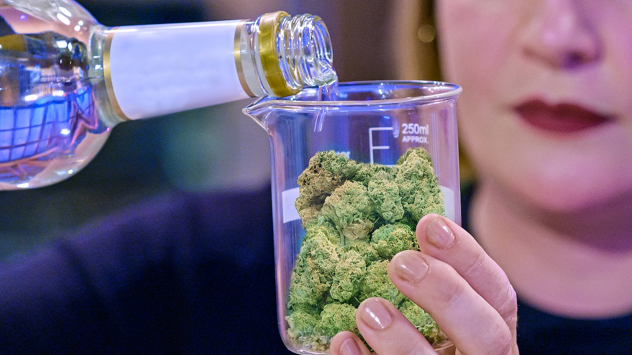 cooked-with-cannabis-3