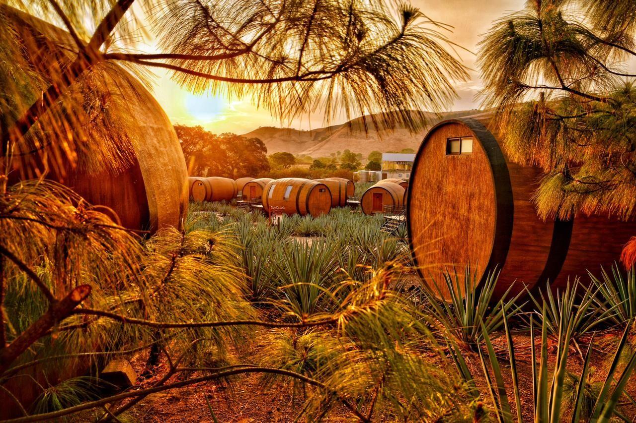 Matices de Barricas tequila hotel mexico sunny