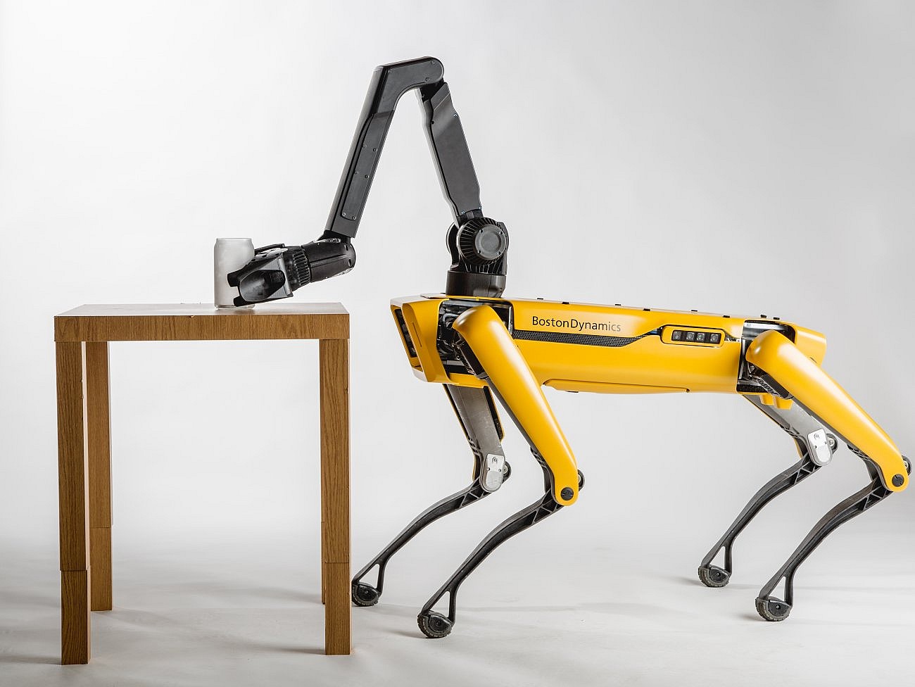 Robot Dog (2)