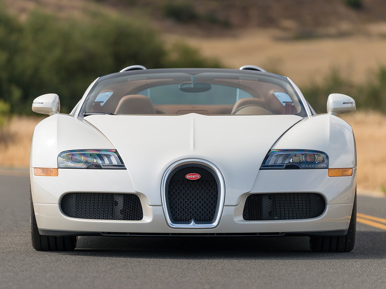 2012 Bugatti Veyron 16.4 Grand Sport 5.jpg