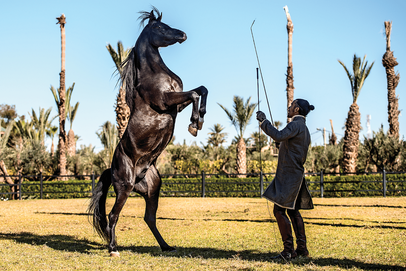 Morocco (3)