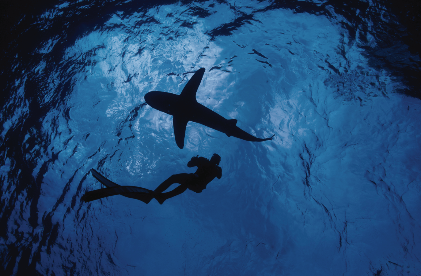 Andy Mann (3)