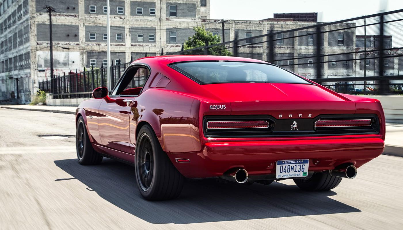 Equus_33