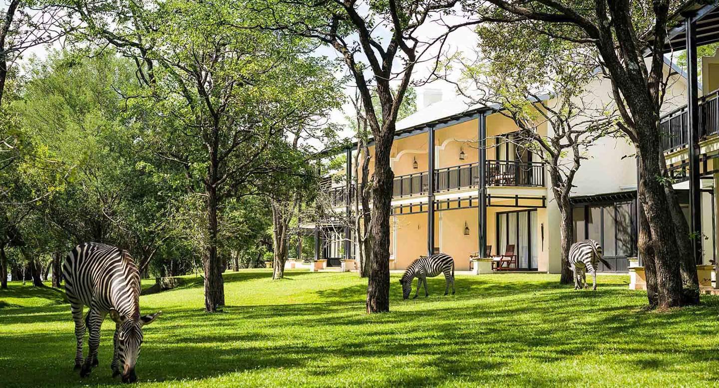 Royal_Livingstone_Grounds_Zebra_1920x1037