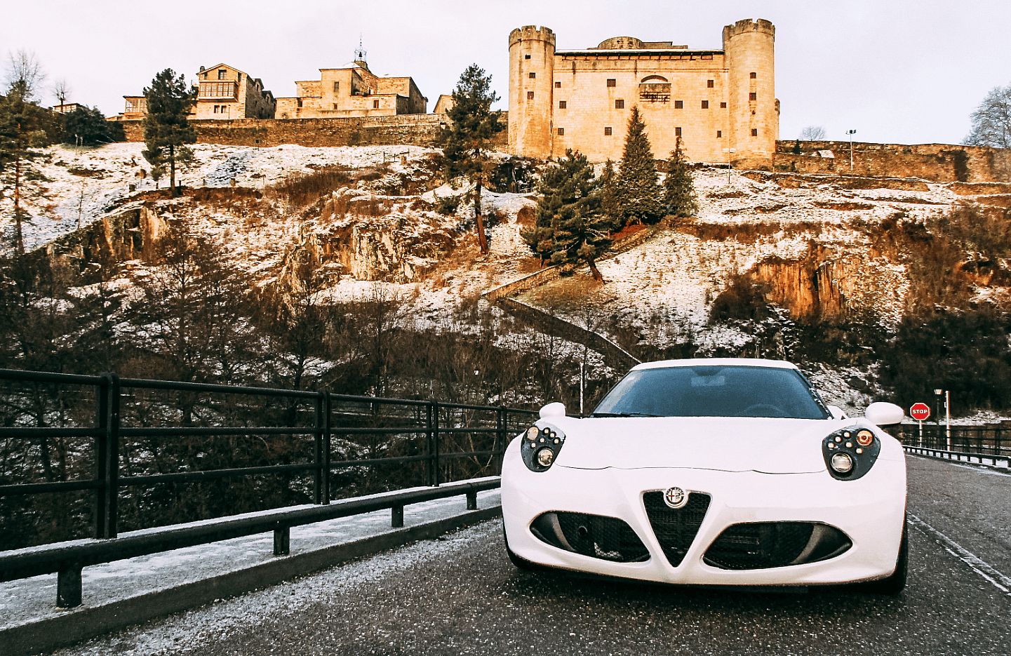 Alfa Romeo 4C  (4)