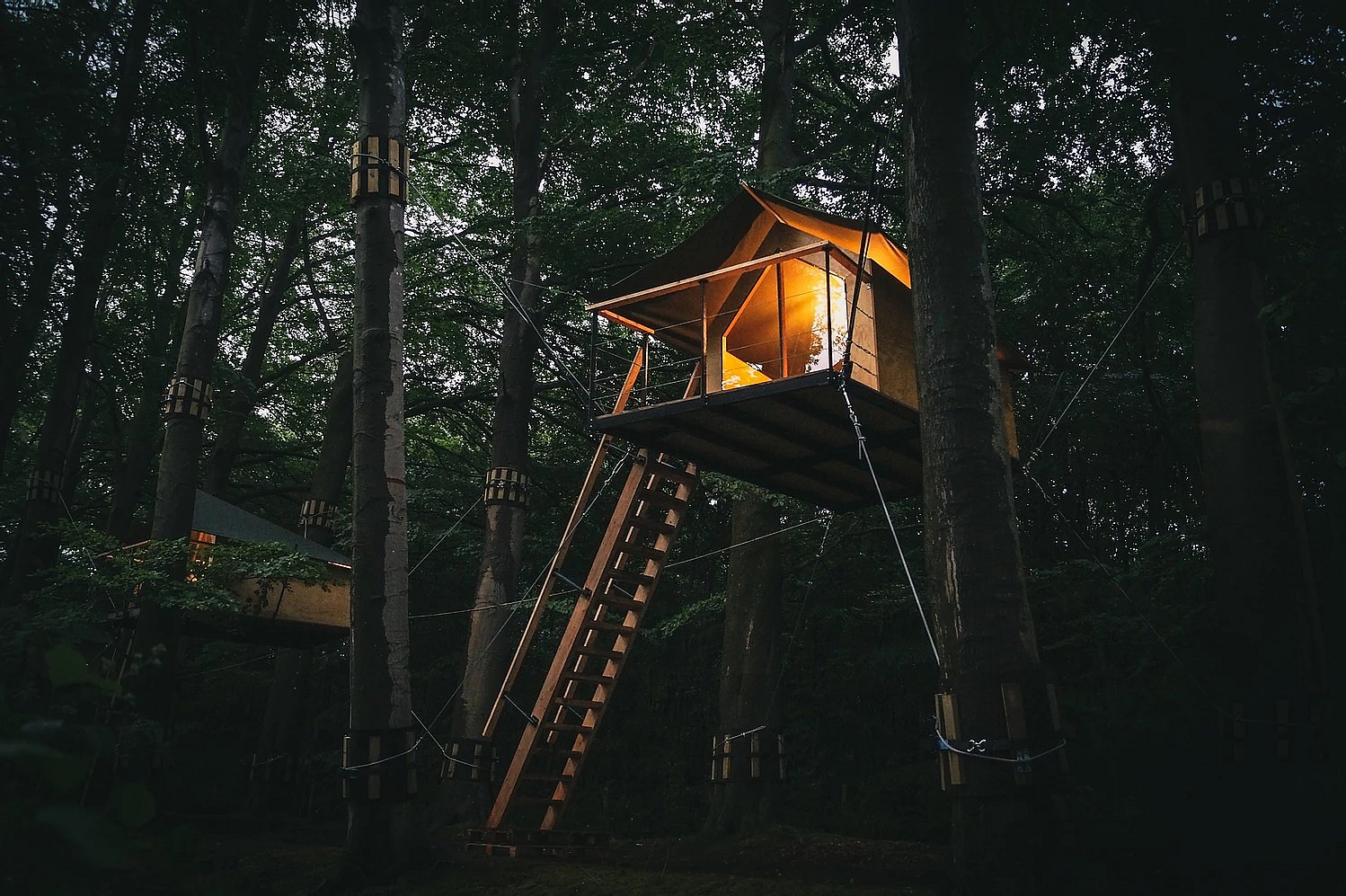 Boomkamp Treehouse Hotel #2