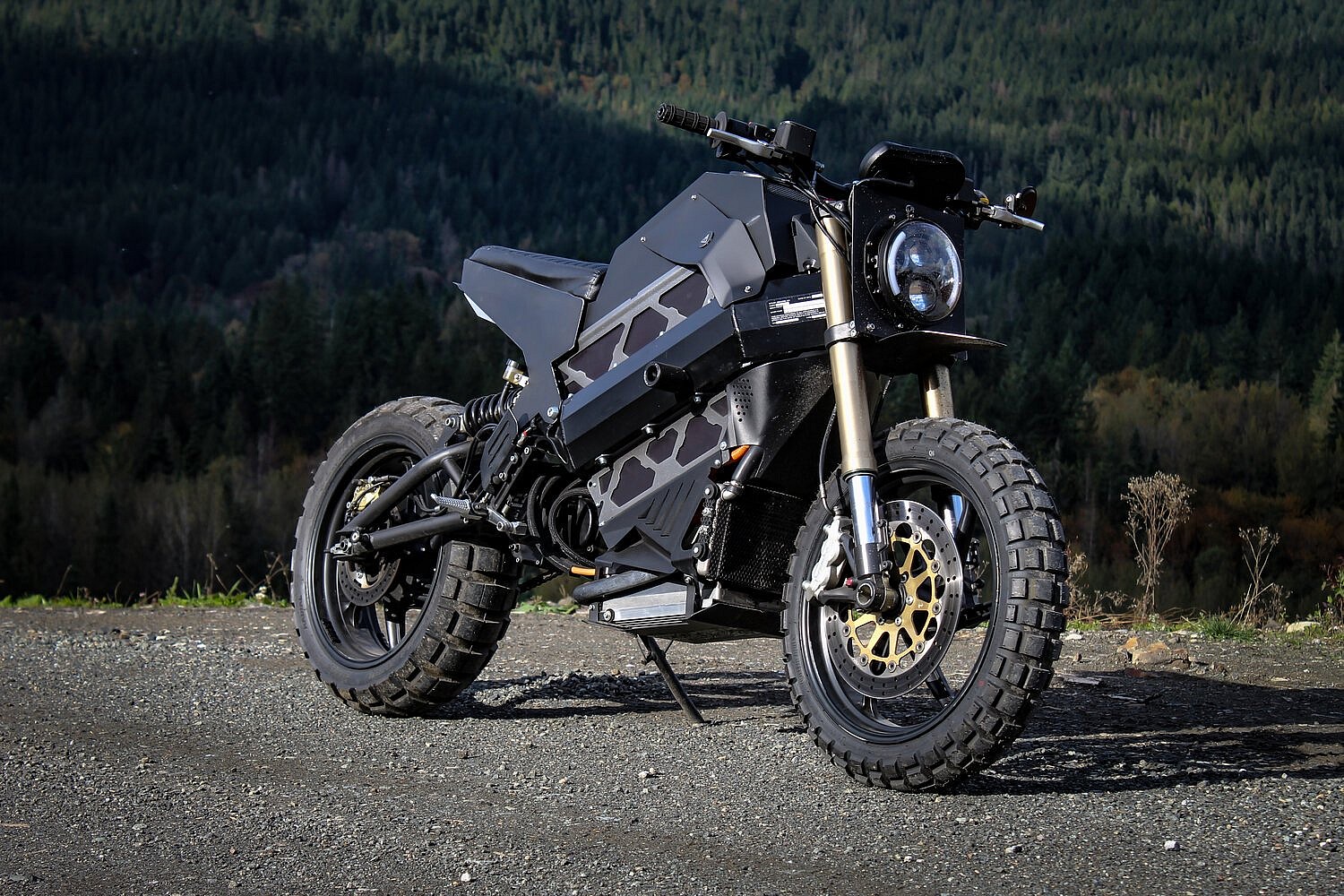 Droog Moto Electric Scrambler 7 (3)