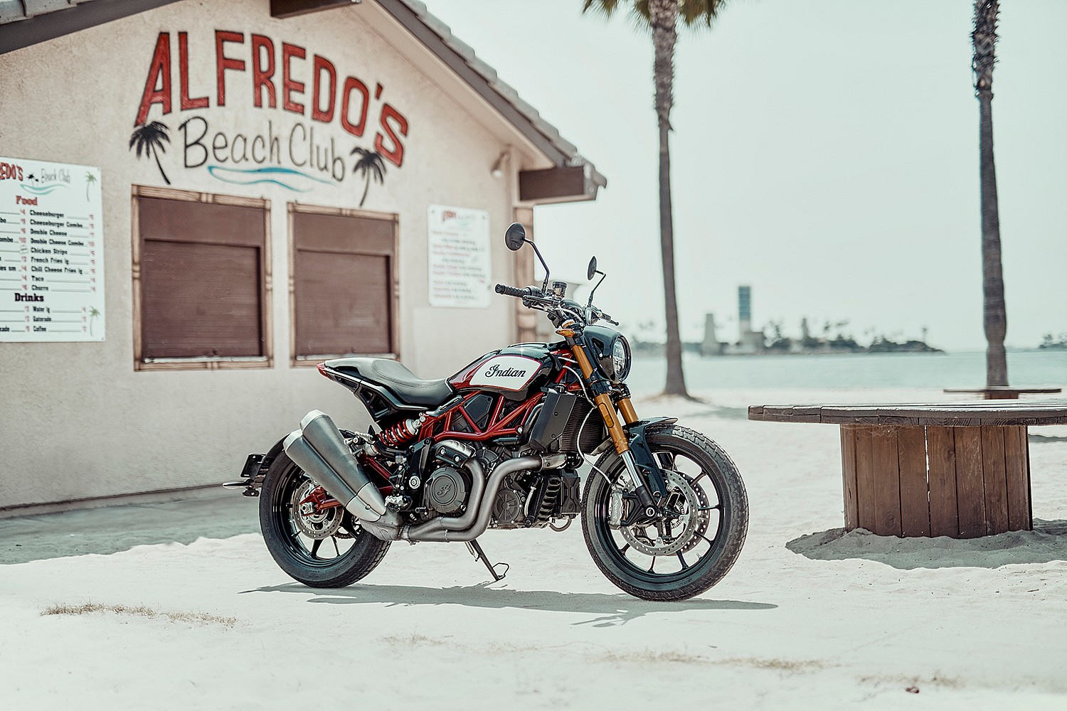 Indian FTR 1200 S (2)